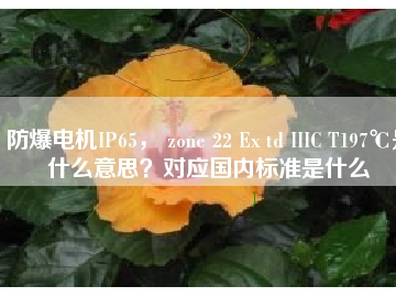 防爆電機(jī)IP65， zone 22 Ex td IIIC T197℃是什么意思？對(duì)應(yīng)國(guó)內(nèi)標(biāo)準(zhǔn)是什么