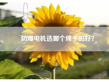 防爆電機選哪個牌子的好？