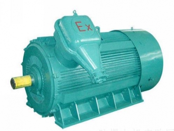 防爆電機(jī)如何出現(xiàn)掃膛、振動(dòng)、軸承過熱要怎么處理
