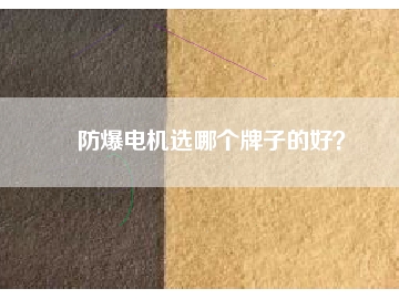 防爆電機(jī)選哪個(gè)牌子的好？