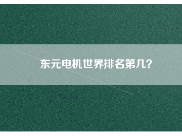 東元電機(jī)世界排名第幾？