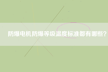 防爆電機(jī)防爆等級溫度標(biāo)準(zhǔn)都有哪些？